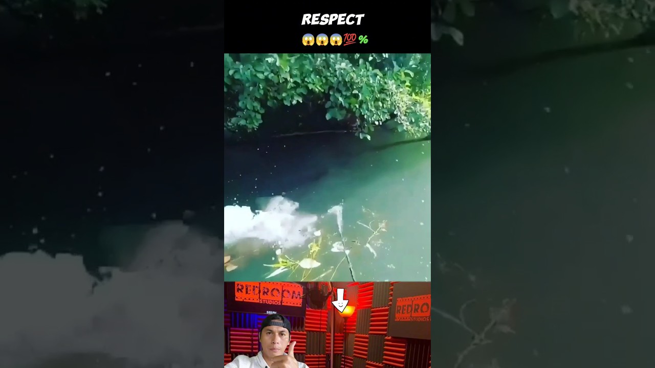 Sambaran ikan tapah monster #shorts #castinggabus