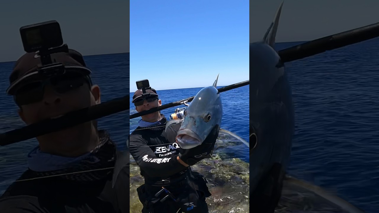 Shore Jigging using Rod Zenaq Accura 100HH #fishing #nature #sea #صيد #pescaria #naturelovers