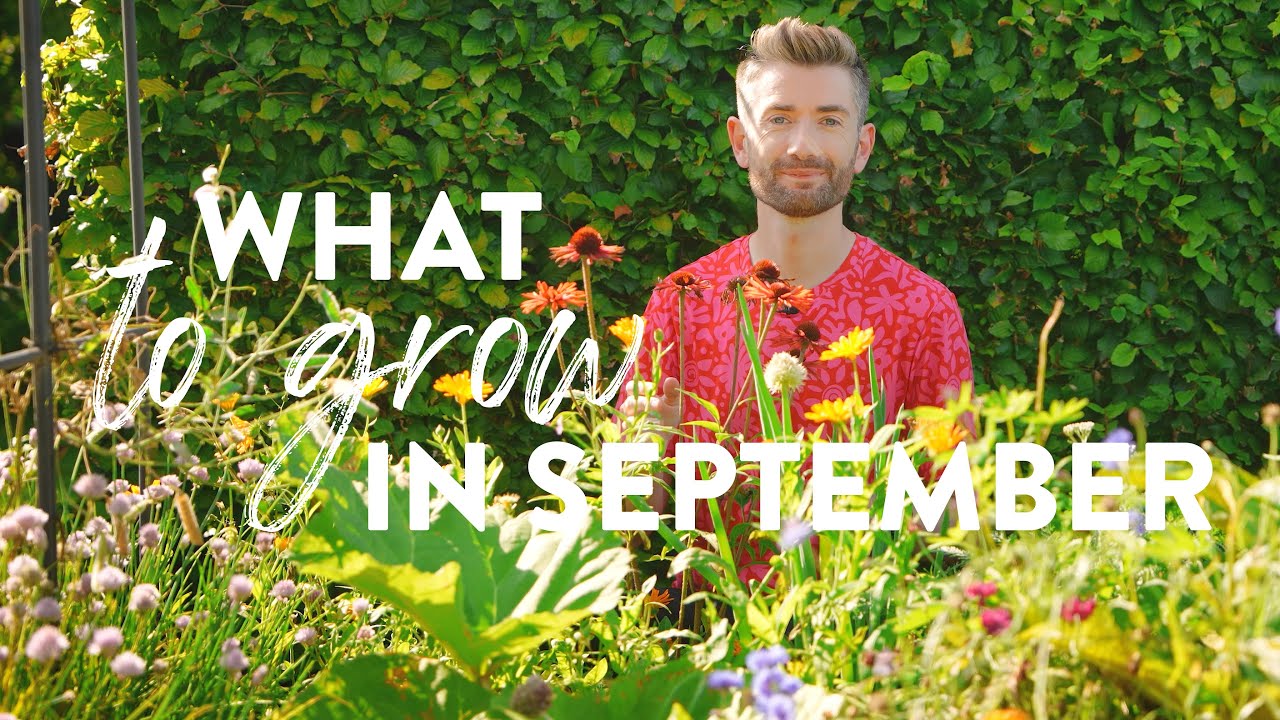 What to Plant in September | What to Grow in Autumn & Fall