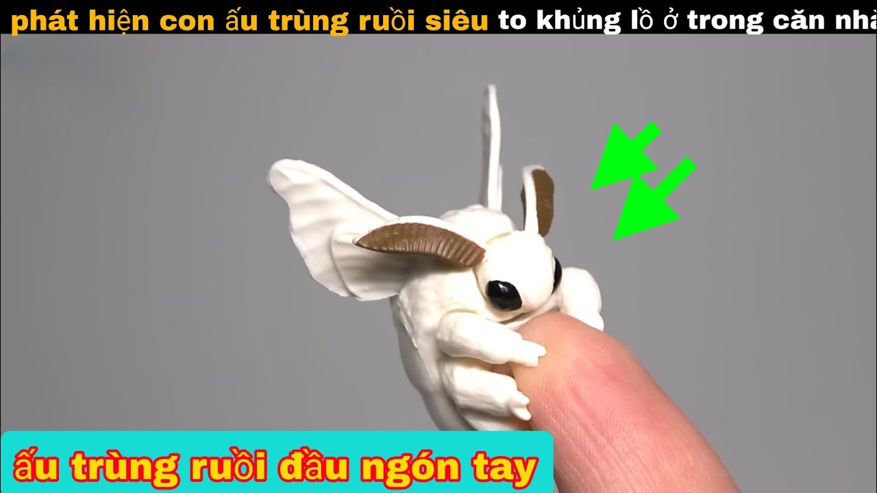 phát Hiện Ấu Trùng Ruồi Khủng Lồ Bám Trên Ngón Tay Siêu Kinh Dị || review giải trí