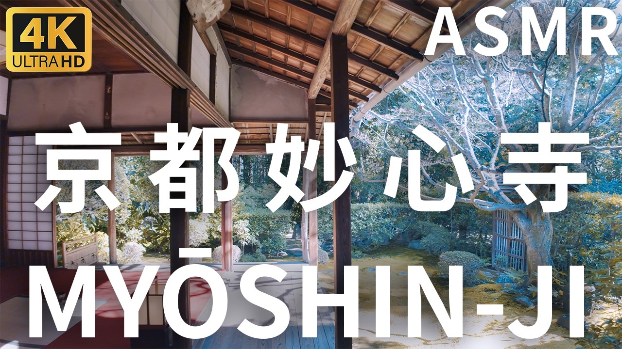 Kyoto Walk: Serene Moments at Myoshin-ji Temple | Sounds of Wind and Zen | 4K ASMR