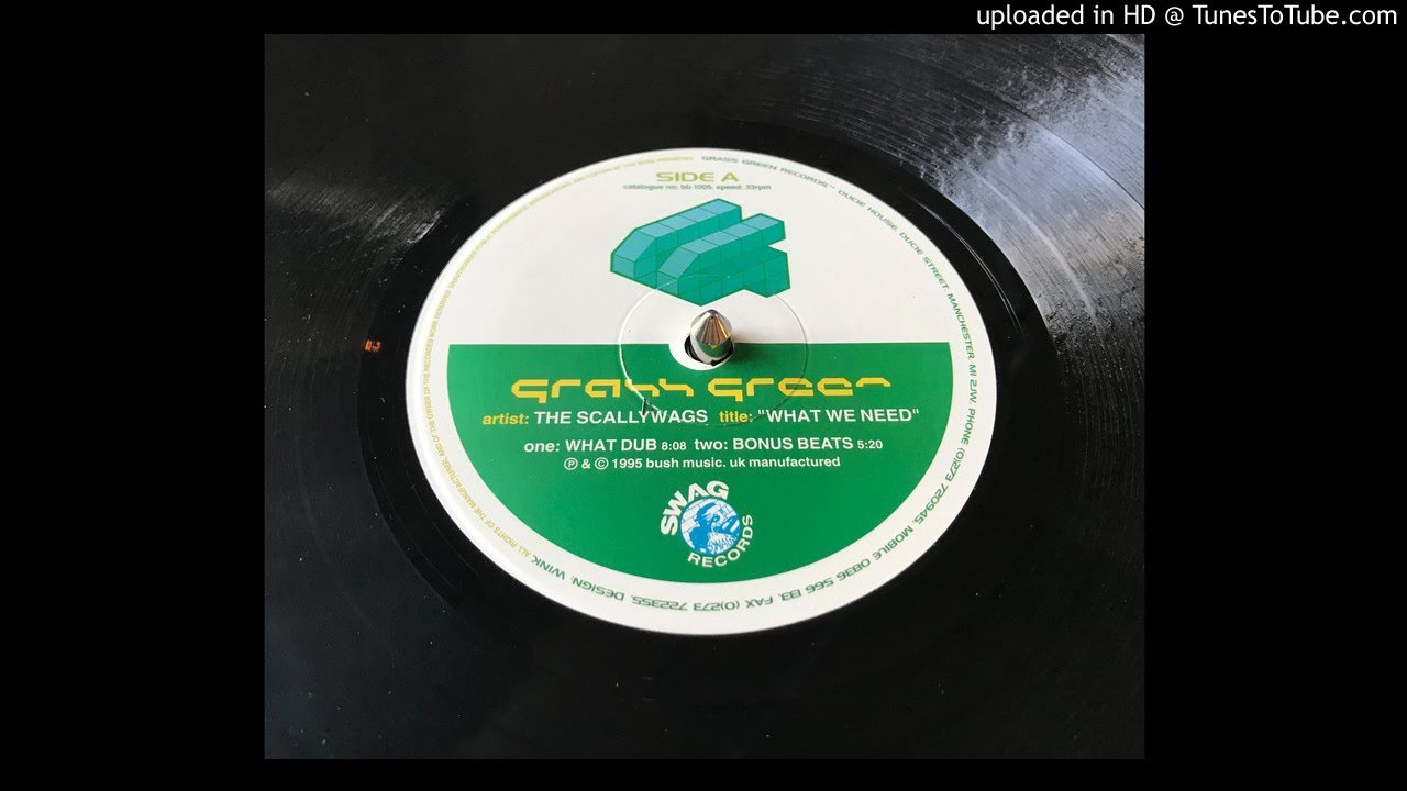 The Scallywags - What We Need (What Dub)