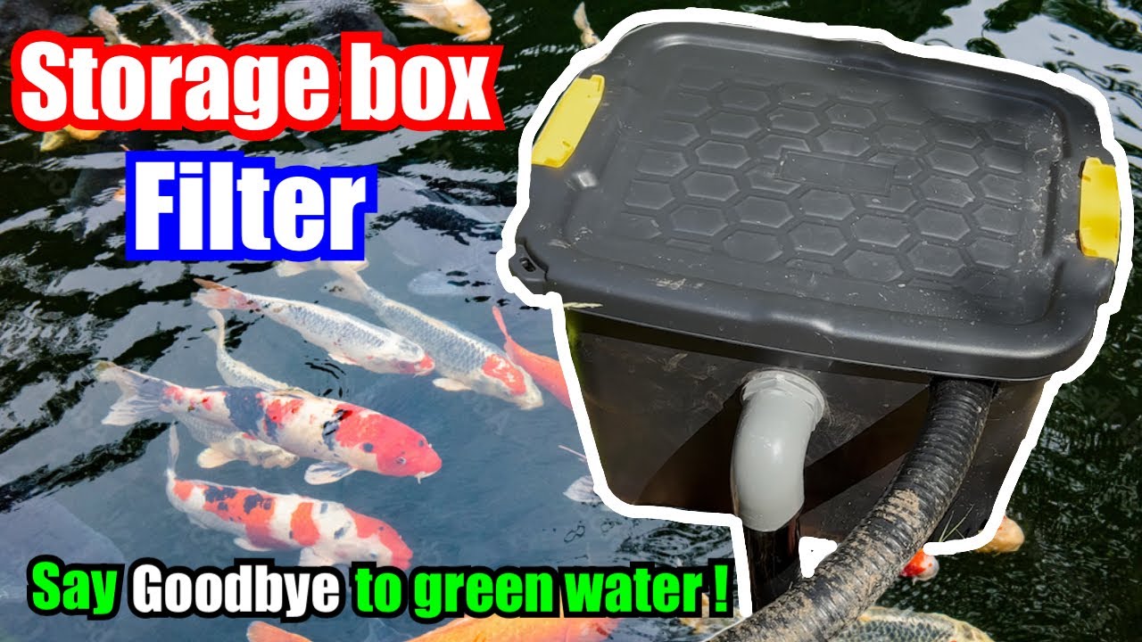 How to make a Pond Filter Using a Storage box ! No Green Algae - CLEAR WATER ! 