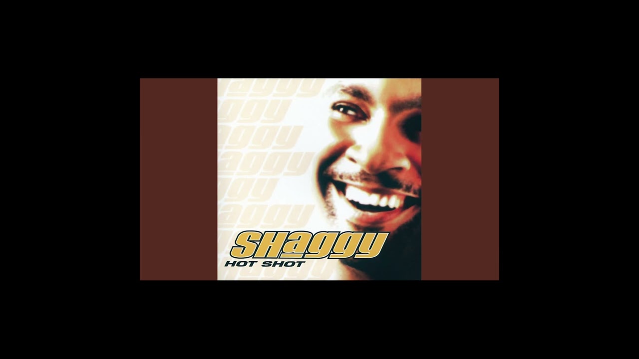 Shaggy - It Wasn't Me (Acapella)