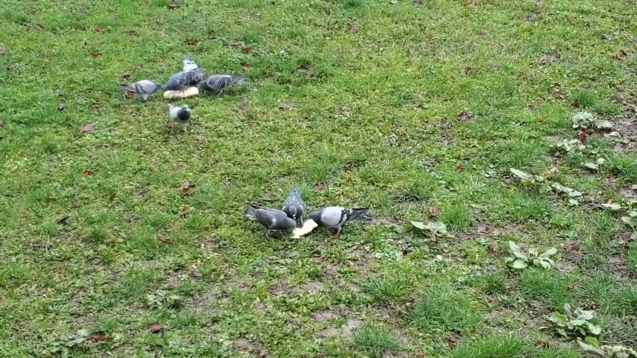 nature  الطبيعة 