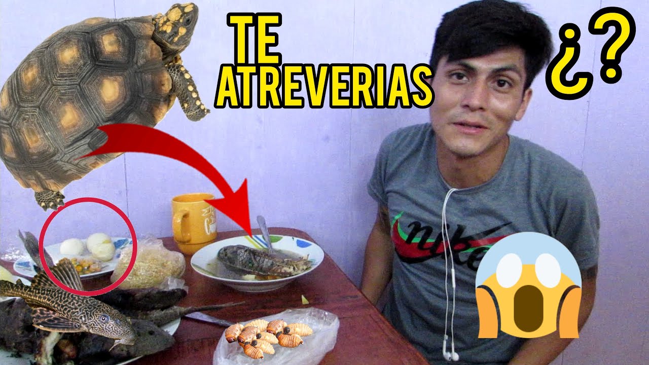 PROBANDO LAS COMIDAS MAS RARAS DE IQUITOS PERÚ