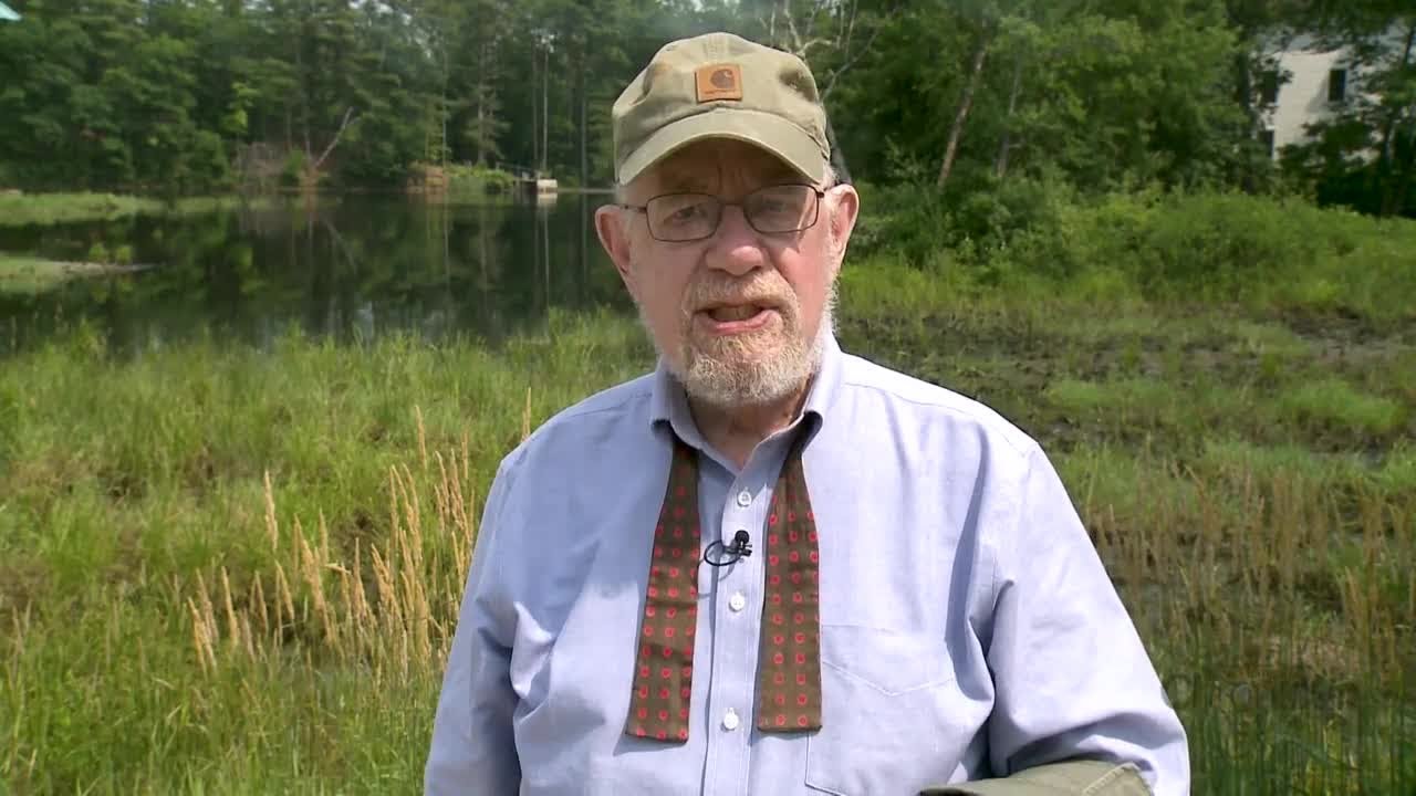 Fritz Wetherbee: Wakefield Ponds