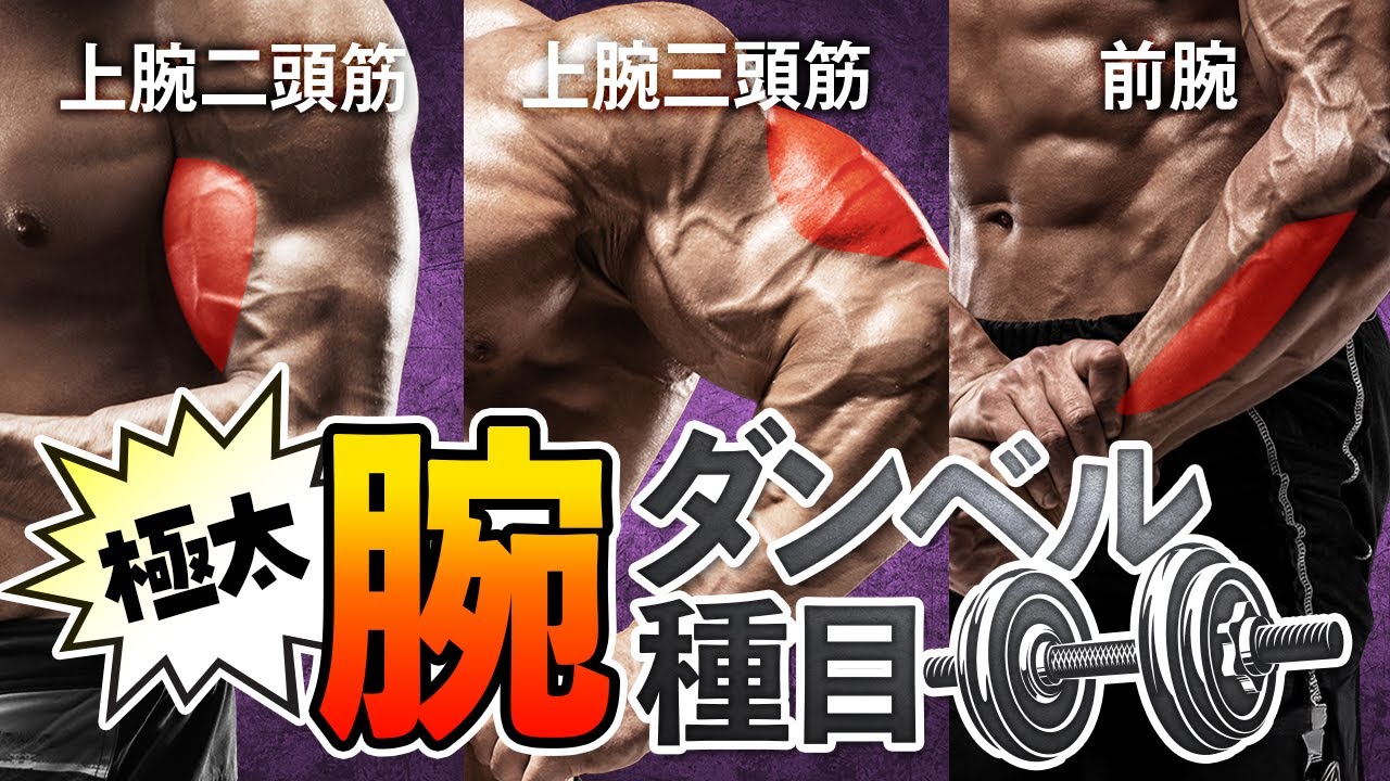 【腕トレ】ダンベルだけで丸太腕を作る！上腕二頭筋 | 上腕三頭筋 | 前腕