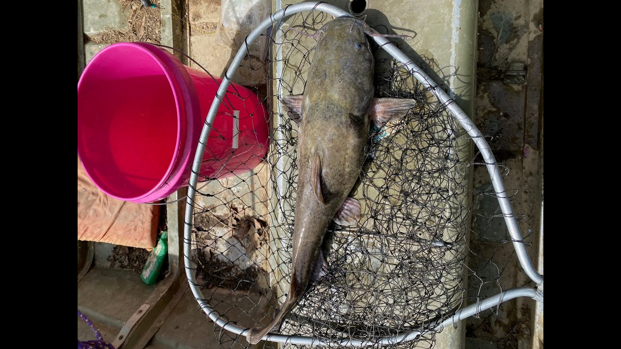 You never know what you might catch on Clarks River