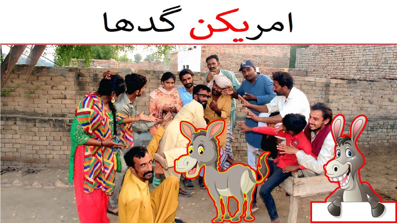 Funny Video Raju Chakri ; Shazo ; Shammu Rajo Chakrey HD Tv 2025