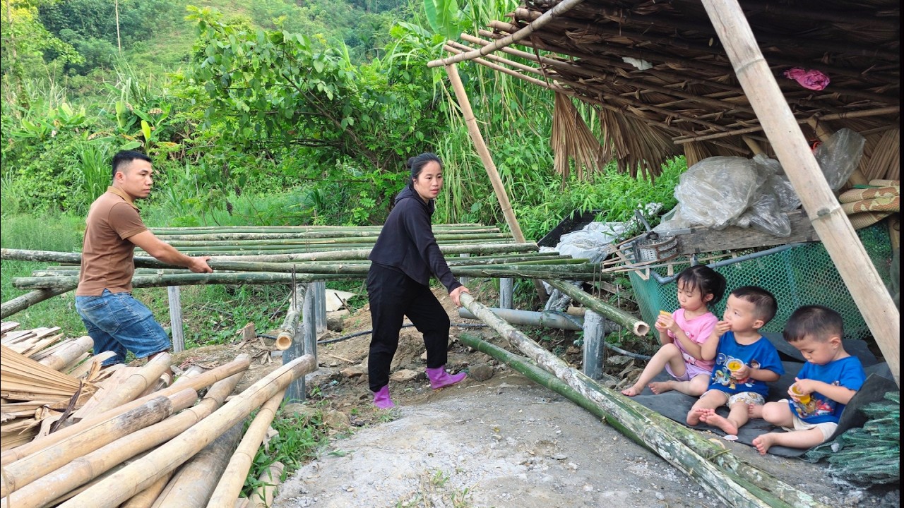 Single Mother - Building a Warehouse, The Appearance of the Ex-Husband | Ly tieu tieu