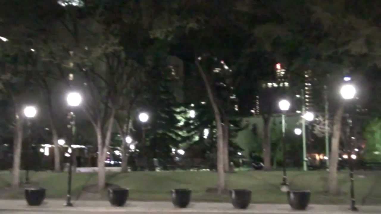 Acorda Brasil! A Iluminação Pública e o Gato invertido