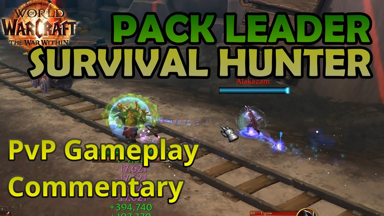 WOW The War Within Beta PvP | Pack Leader Survival Hunter | PvP Gameplay Commentary