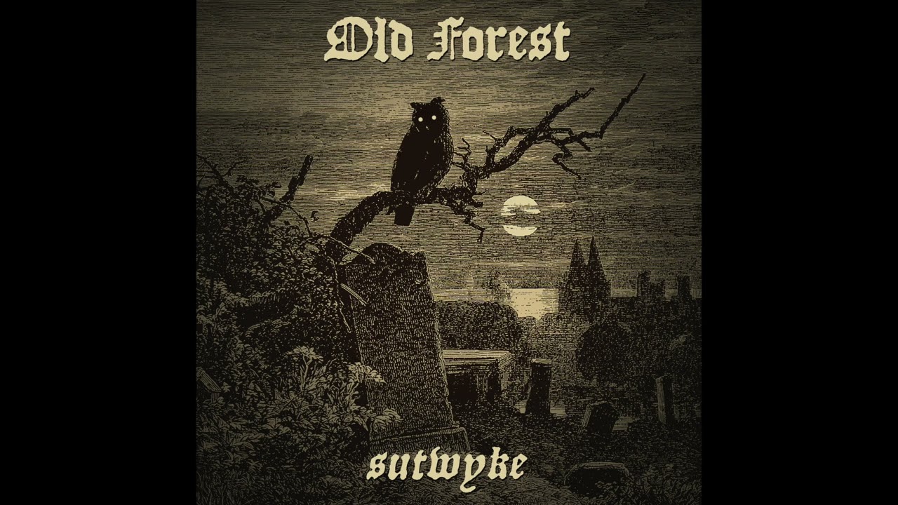 Old Forest -  Sutwyke  - 05 Master of Arachnids