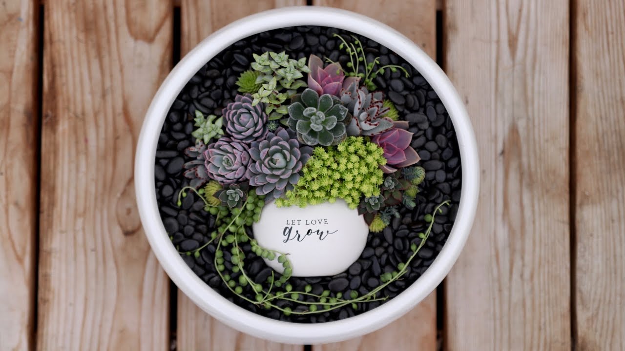 Succulent Pot in a Pot! 💚🌿// Garden Answer