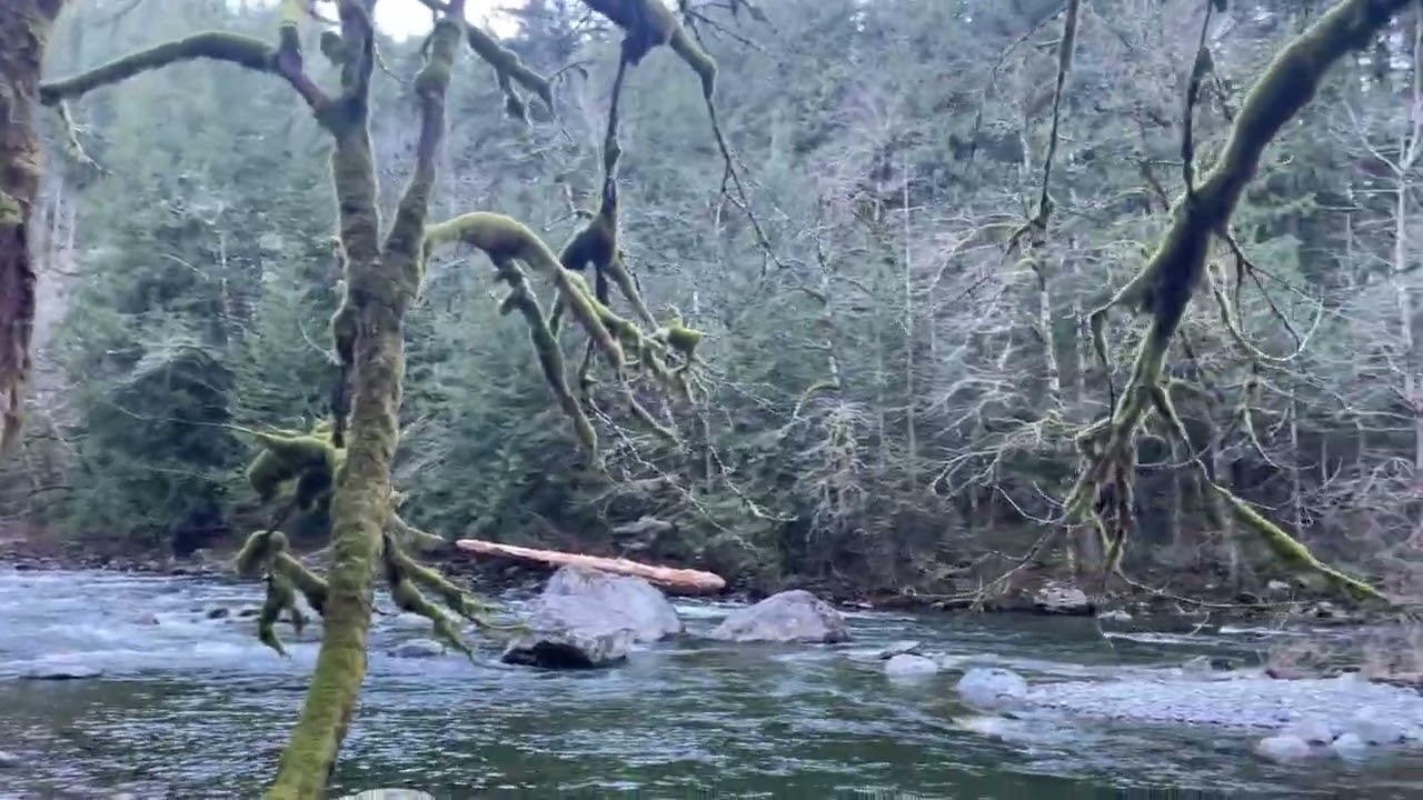 Wild River Path to a waterfall 