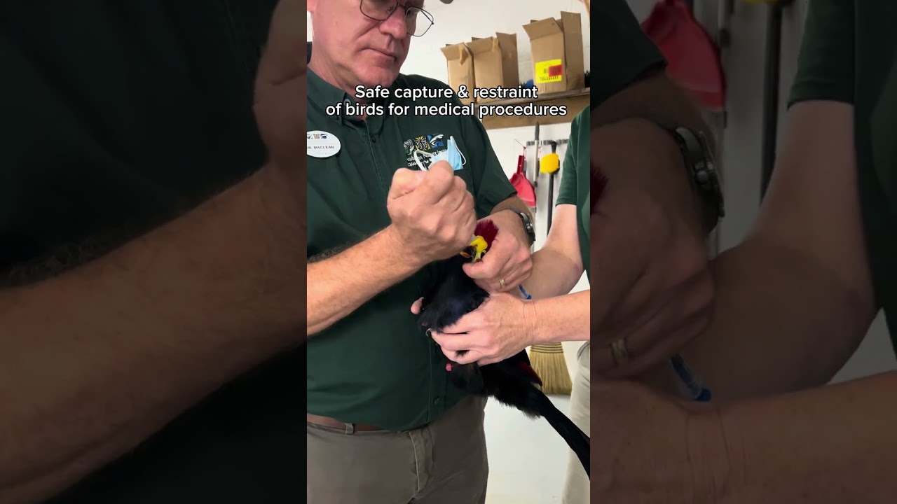 What’s a day in the life of a Bird Keeper, you ask? 🤔 🦜
