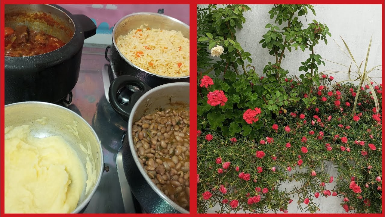 Meu almoço de hoje 😀 Minhas onze 🕚 feliz com a 🌧️ #almoço #chuva #plants 