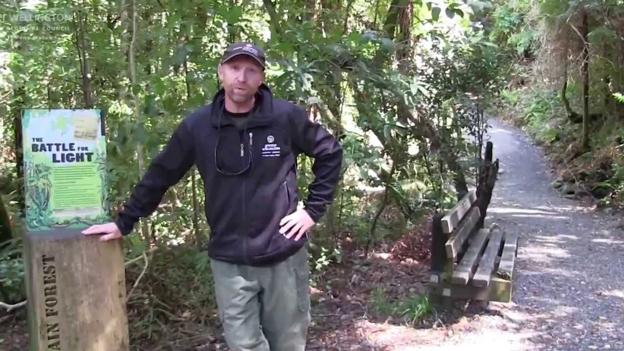Discover Kaitoke Regional Park