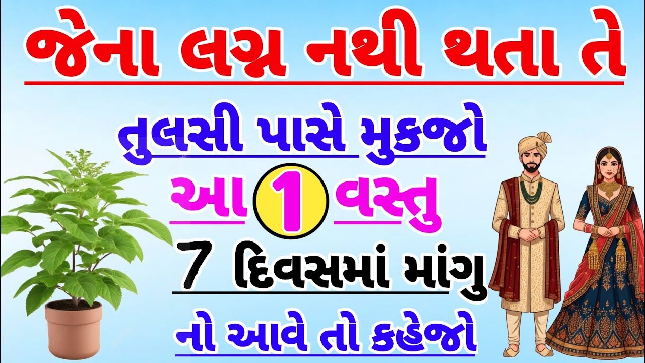 જેના લગ્ન નથી થતા, તૂટી ગયા છે તે તુલસી પાસે મુકજો આ 1 વસ્તુ 7 દિવસમાં થશે ચમત્કાર l Vastu Tips