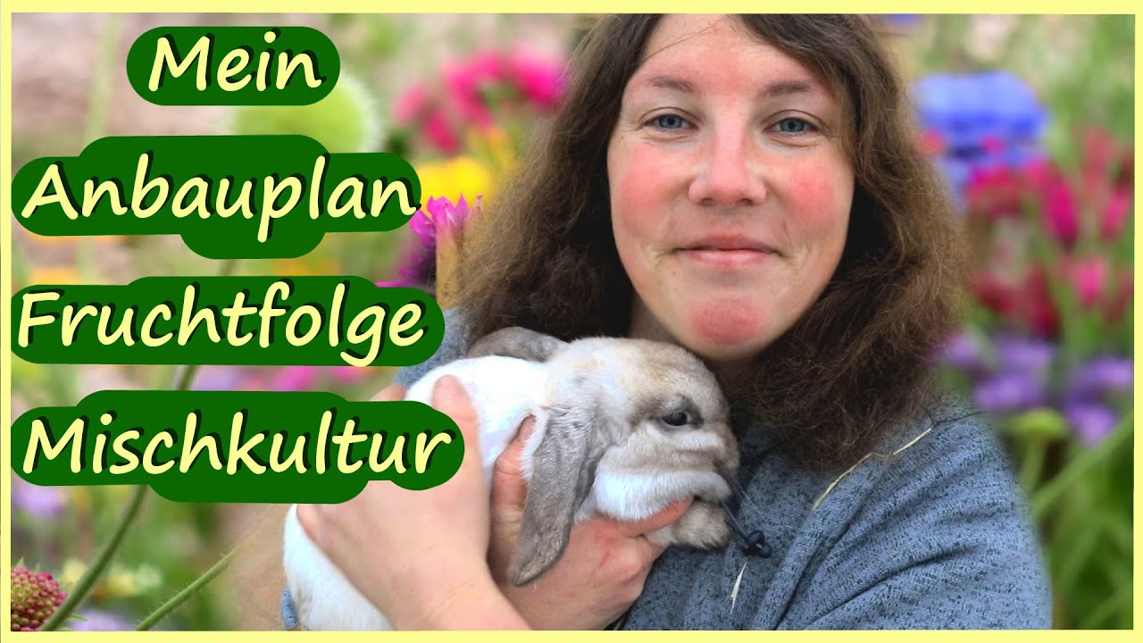 Mein Anbauplan │ Fruchtfolge und Mischkultur