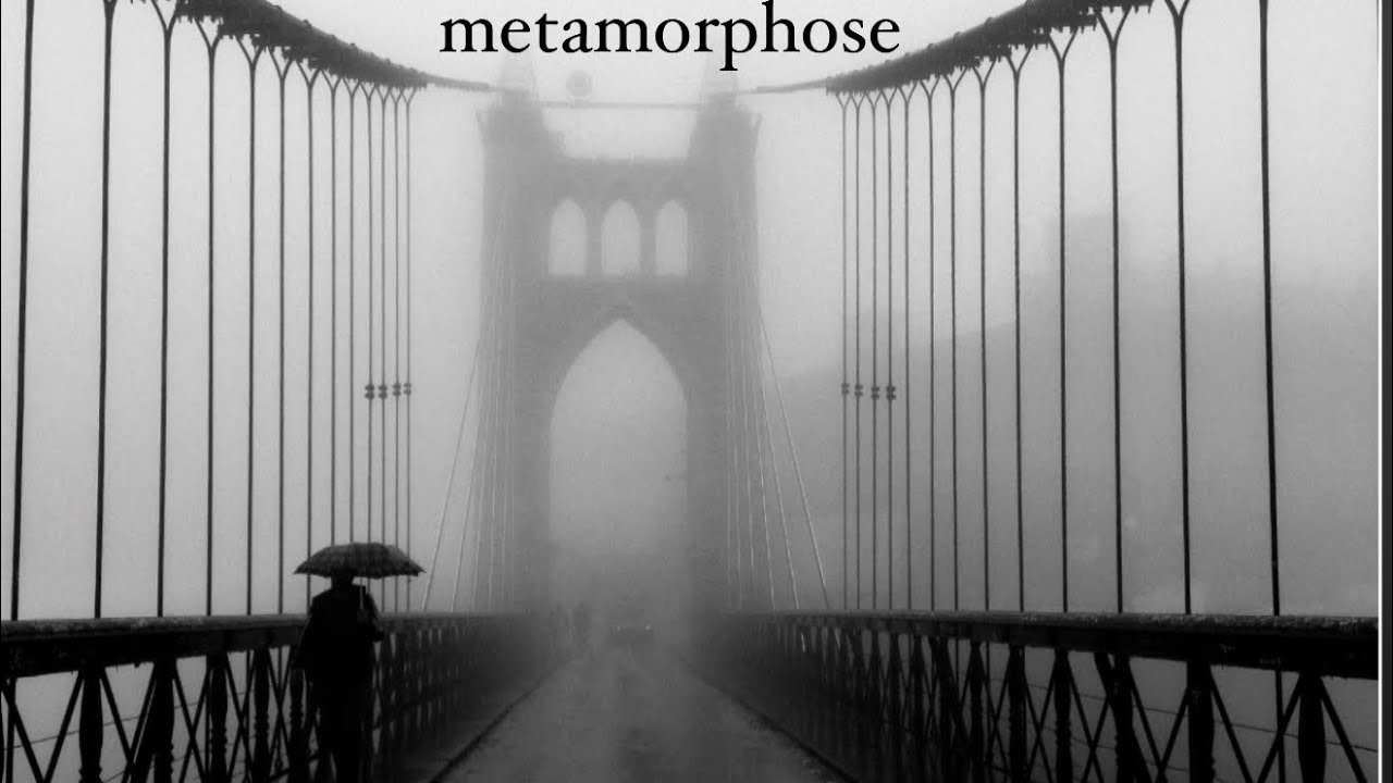 Mello Black- Metamorphose