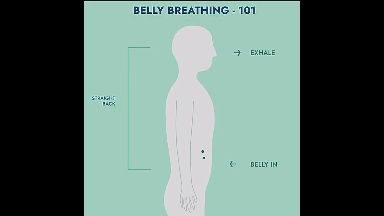 Belly abdominal breathing exercise #relaxing #breathingforanxiety #bellybreathing