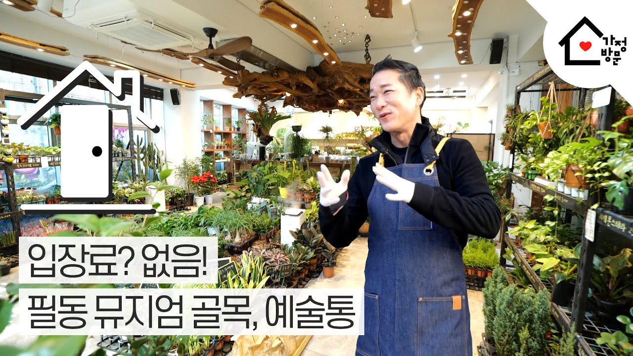 [가정방문 Season 2.] 입장료? 없음! 필동에 숨겨진 보석같은 골목길, 박동훈 대표의 '예술통'