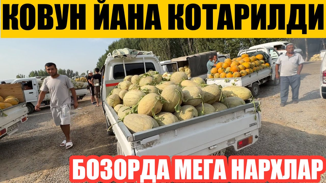 Жамашуй ковун бозори нархлари