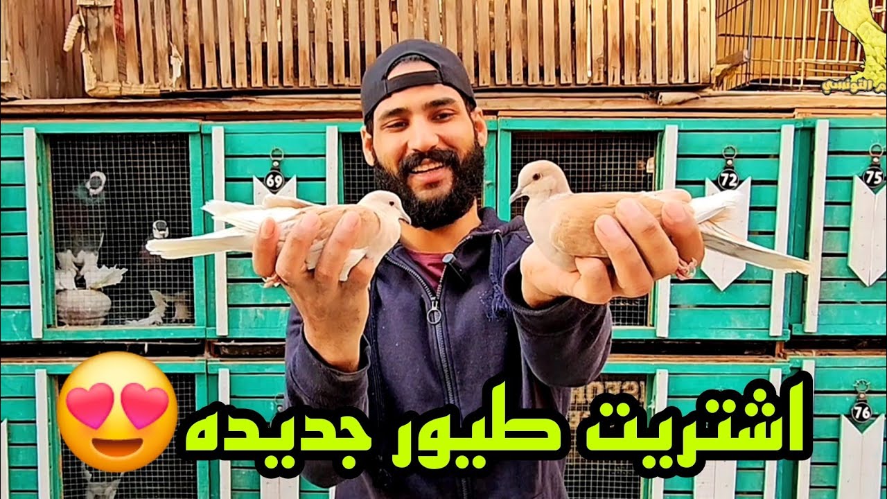 اشتريت طيور جديده 😍تعالي شوف اشتريت ايه 😯😯
