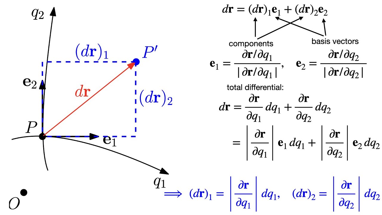 Orthogonal curvilinear coordinates (basis vectors, Lamé coefficients, volume element, area element)