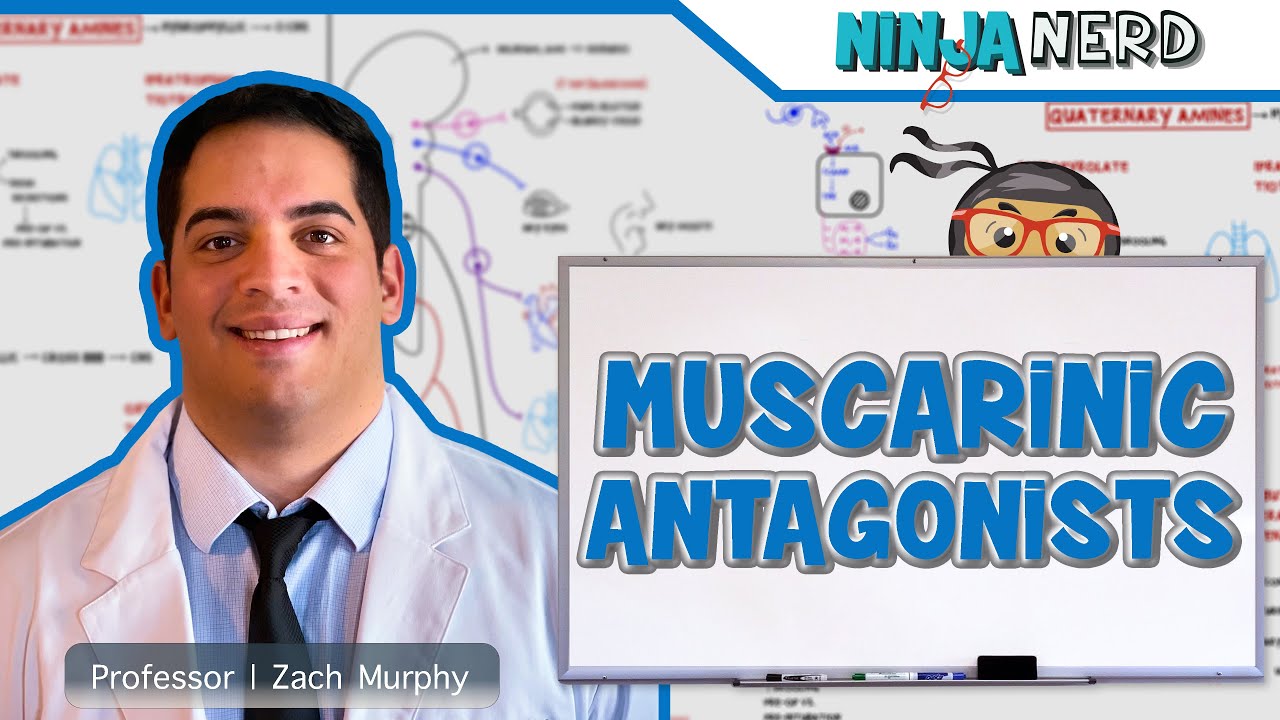Autonomic Pharmacology | Muscarinic Antagonists