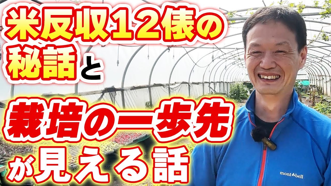 【自然栽培298】自然農法始めた理由と驚くべき体験談と収穫量！