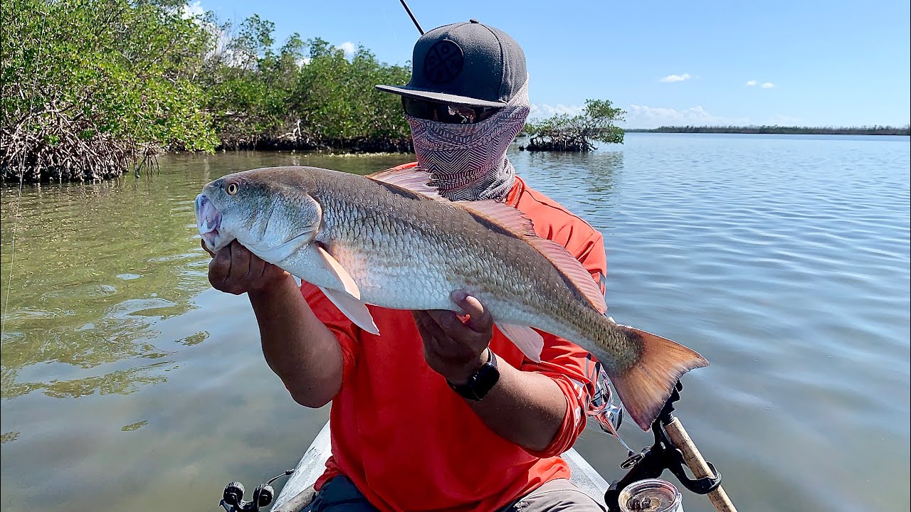 Kayak Fishing Near RED TIDE in Pine Island Sound, FL. Redfish, Trout, Flounder