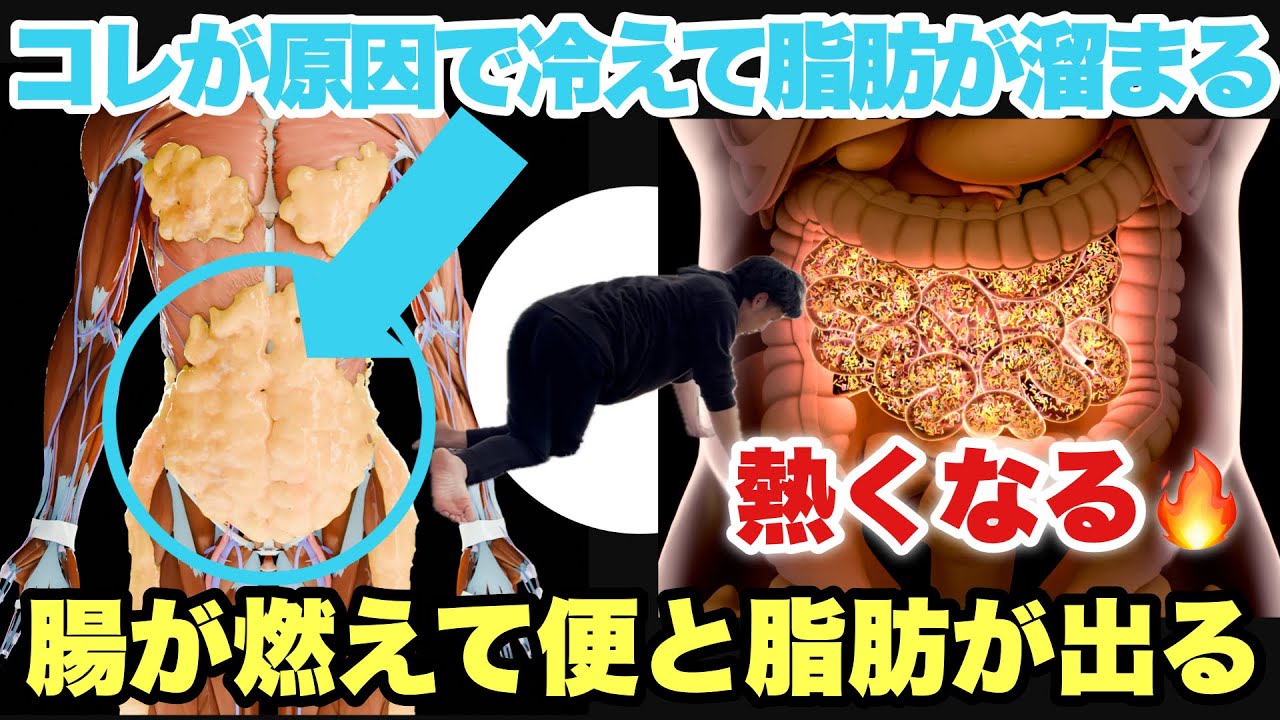 【宿便はがし】うんちがドバドバでちゃう💩冷えて無くならない脂肪を出す方法！