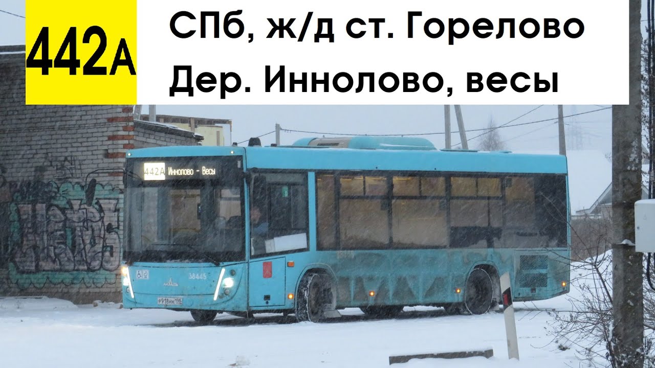 Автобус 442а 