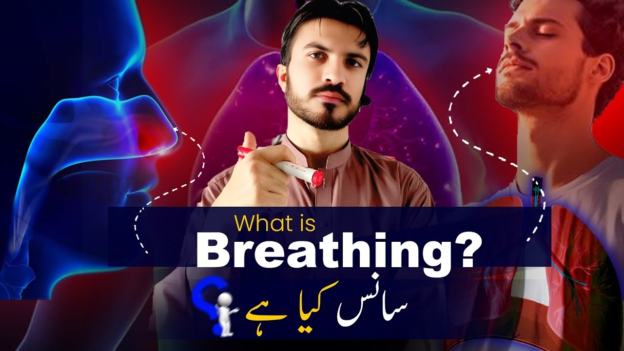 Why Do We Breathe? Oxygen Journey & Hemoglobin Explained | Full Scientific Breakdown