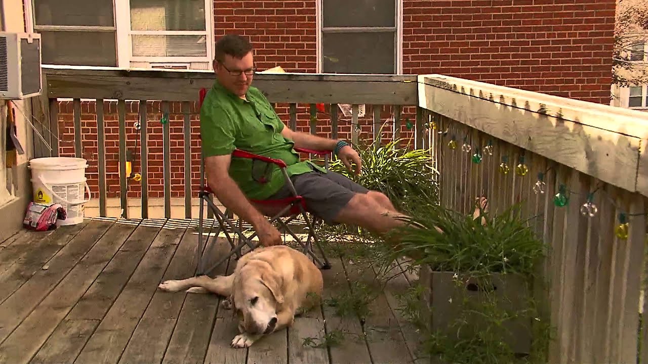 Bond: A Soldier and His Dog | Arts Upload