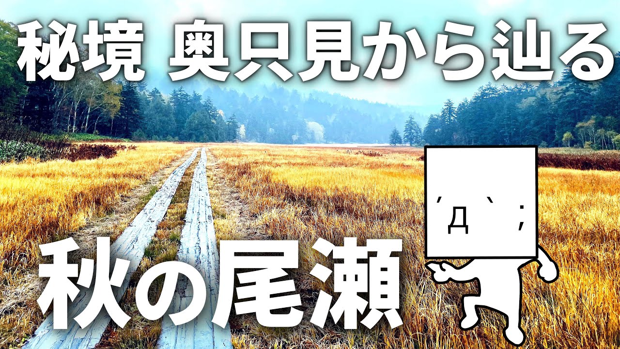 【尾瀬の行き方】奥只見湖遊覧船とバスと会津沼田街道歩き｜草紅葉の大江湿原を抜け尾瀬沼東岸の長蔵小屋へ
