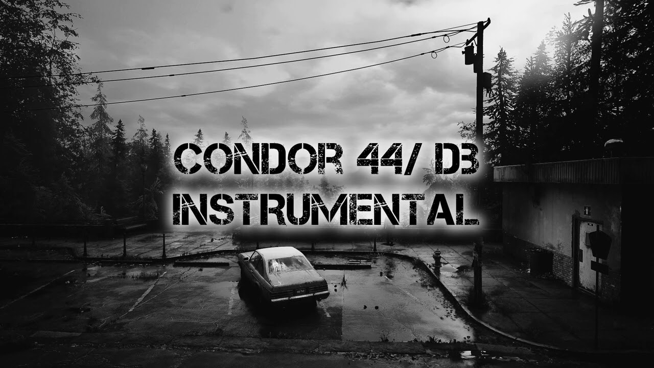 CONDOR 44 / 