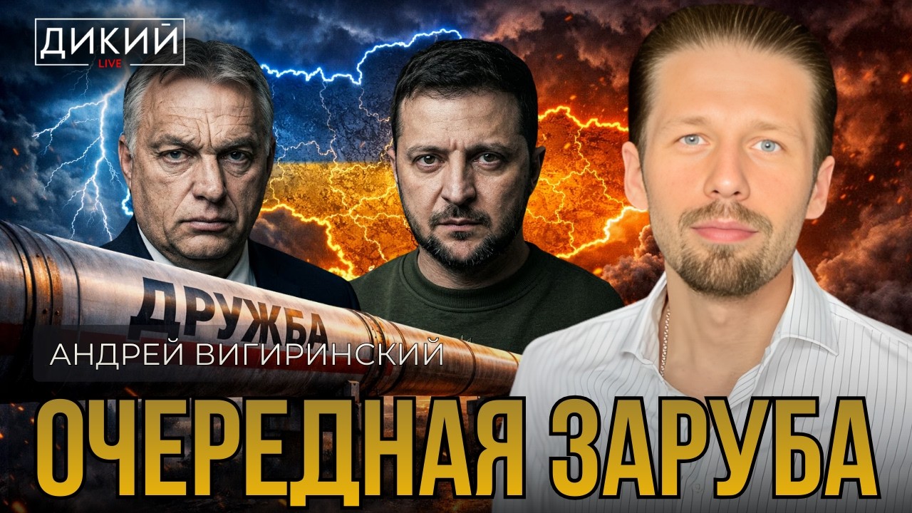 ДУШНИЛЫ, ИЛИ НЕРВНЫЕ РЕАКЦИИ. АНДРЕЙ ВИГИРИНСКИЙ | ДИКИЙ LIVE