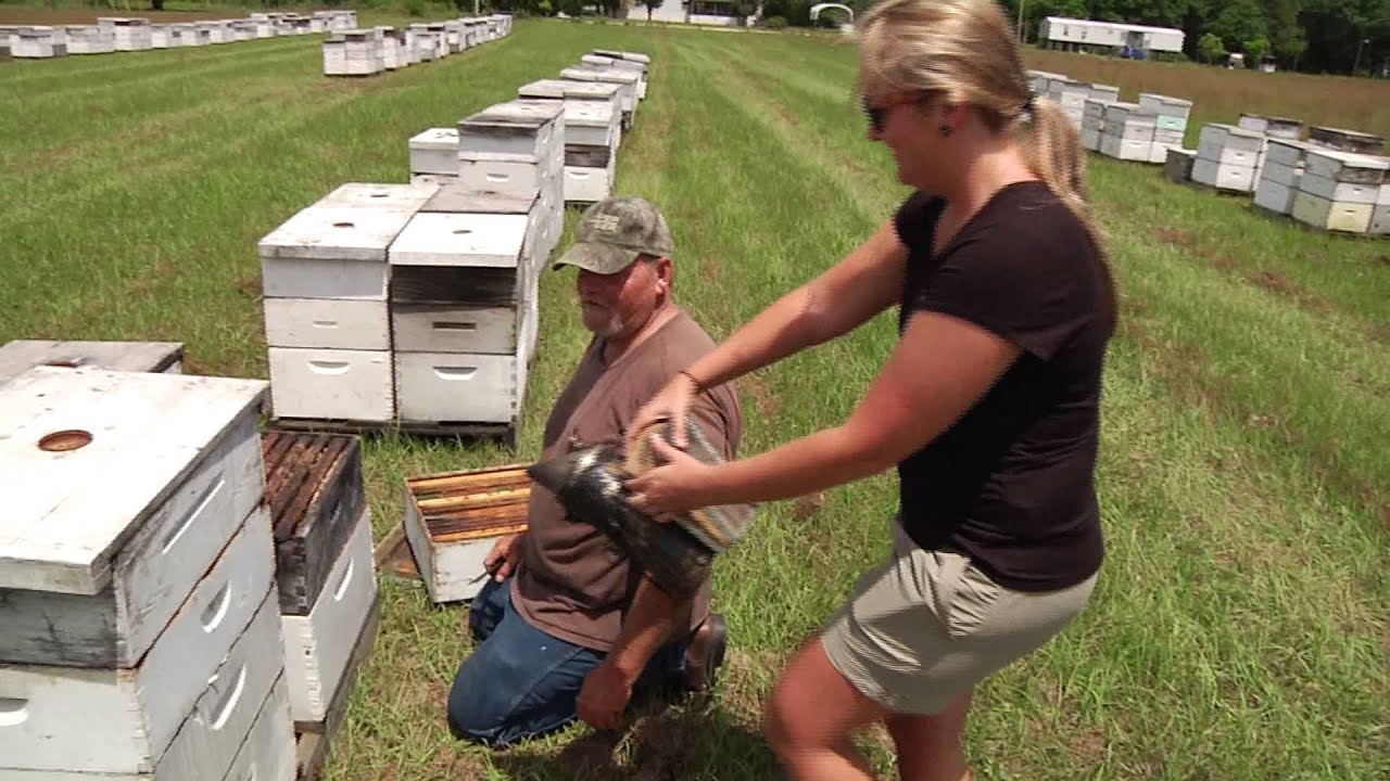 Dead Lakes Kayaking/ Wewahitchka Tupelo Honey: EcoAdventures North Florida