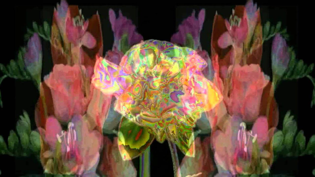 grateful dead 1968-10-13 avalon with lightshow
