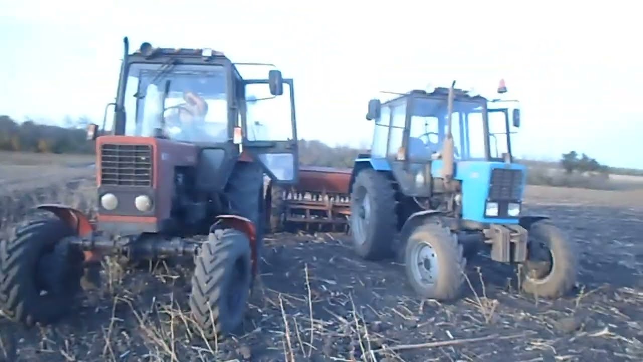 Посев Озимых зерновых Новый Сорт. 
