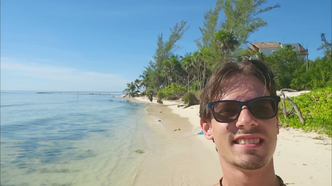 l Honeymoon picture album l