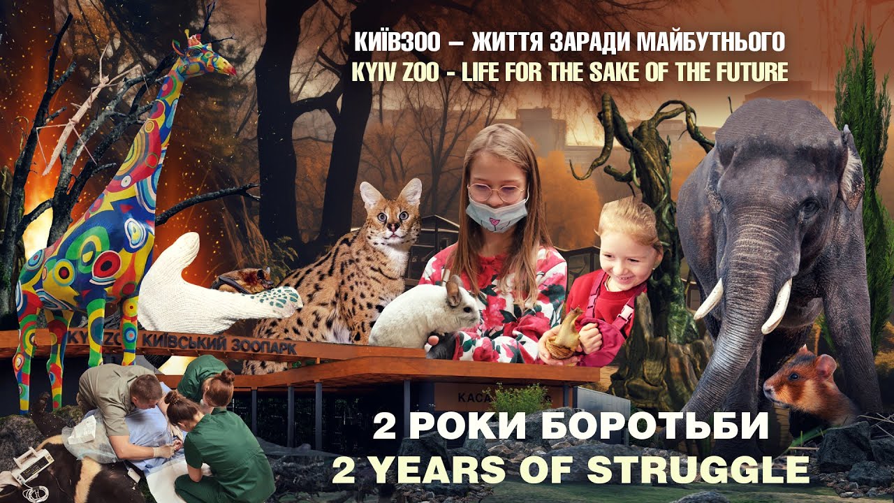 ЗООПАРК ПІД ЧАС ВІЙНИ / ZOO IN WAR TIME