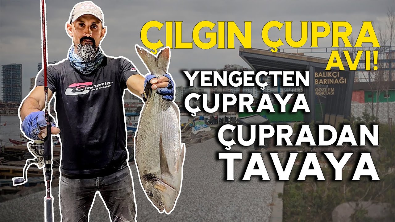 Yengeçten Çupraya! Aksiyon Dolu Çupra Avı (Çupradan Tavaya)  #Çupra #Avı #bream  #secrets #tips