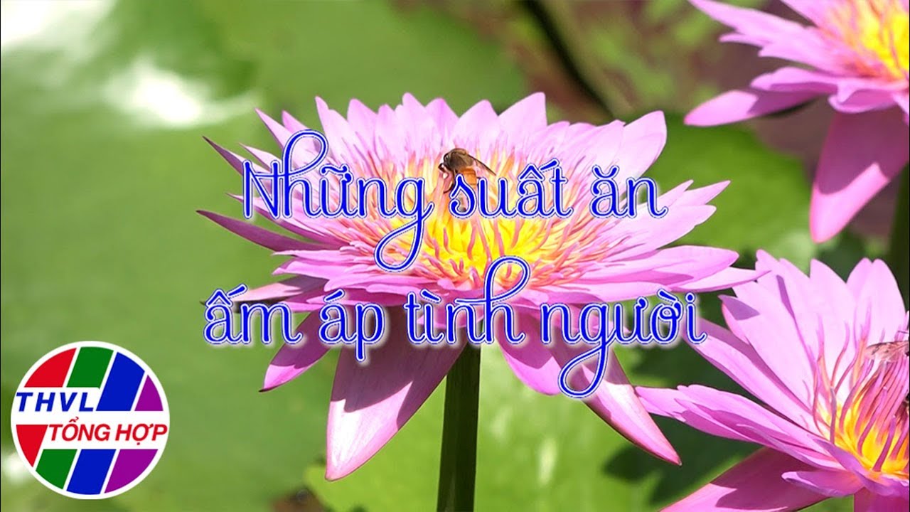 Hoa đẹp giữa đời thường: Những suất ăn ấm áp tình người