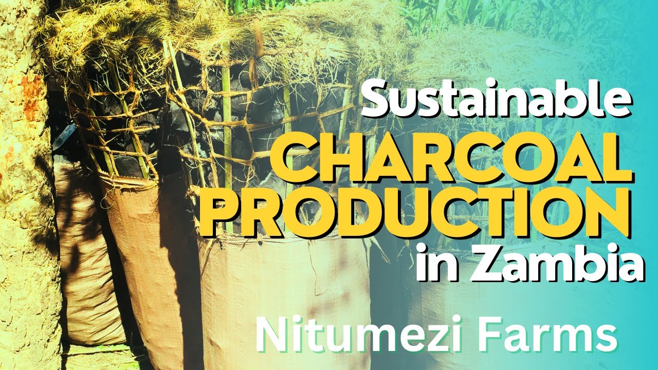 Sustainable Charcoal Production in Zambia: Tree-to-Energy Transformation at Nitumezi Farms