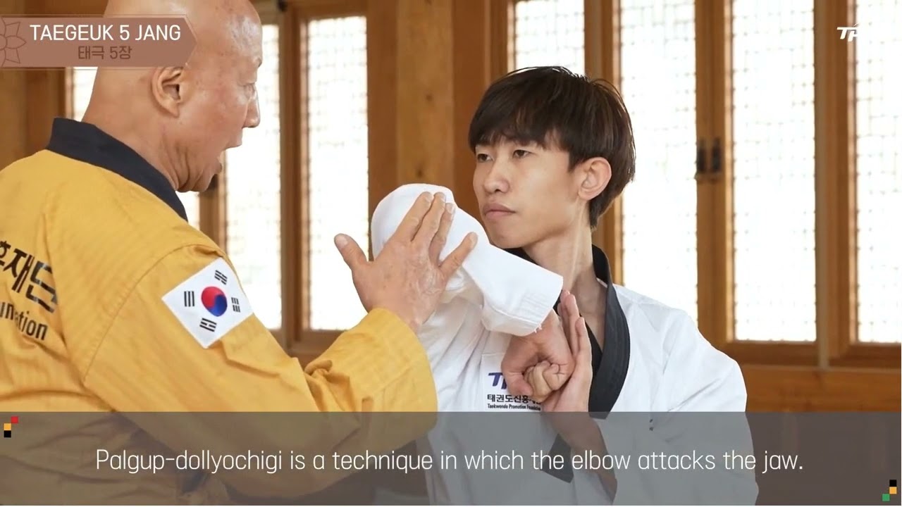 Taeguk 5 with Lee Kyu Hyung